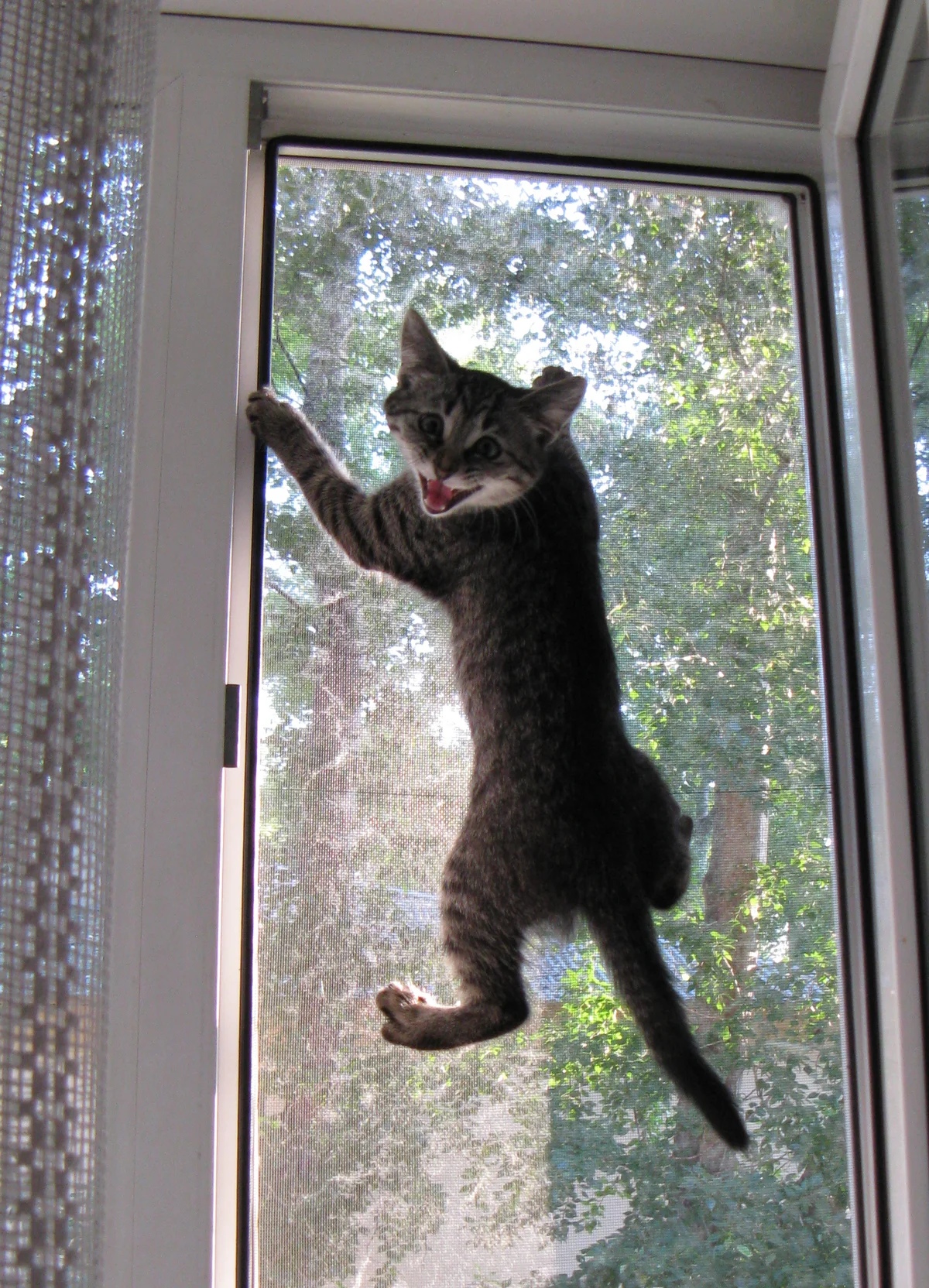 Март заканчивается, дайте хоть разочек гульнуть