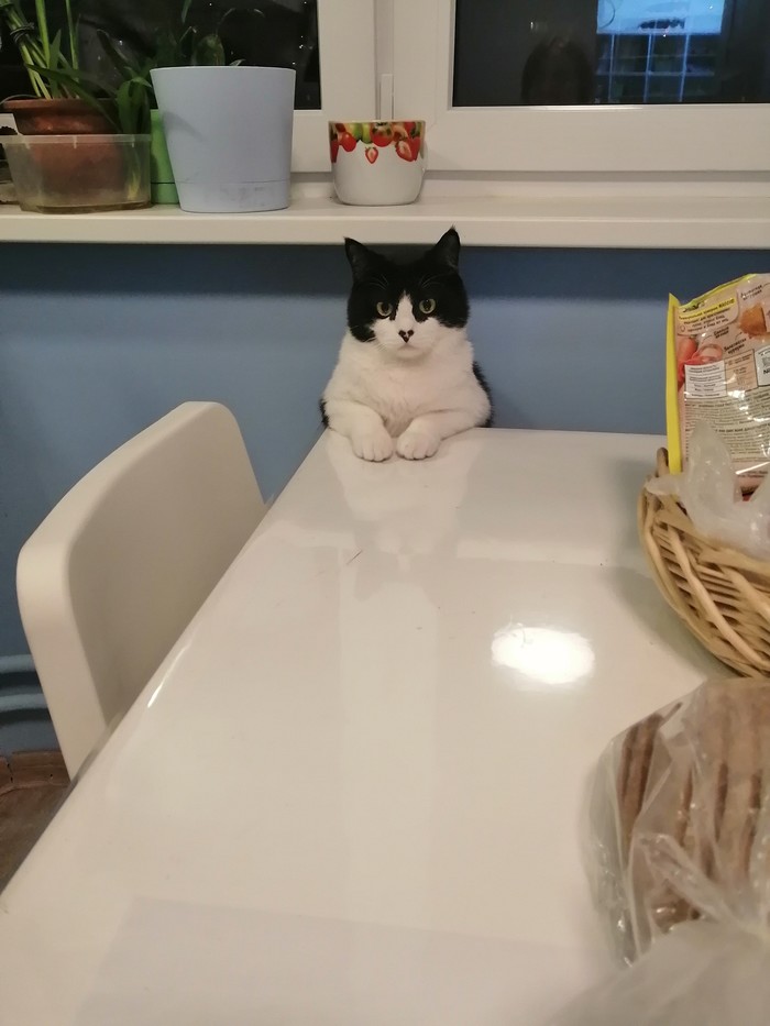 Где, мой завтрак