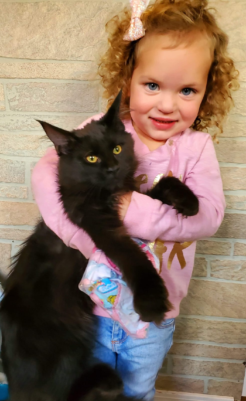 Хозяйка в садик не пошла, так что веселье гарантировано