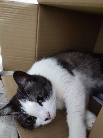 Кто - чего, а мне спать пора