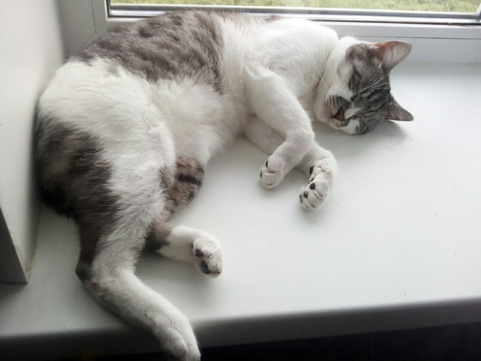 За окном ничего нового, так что можно и поспать