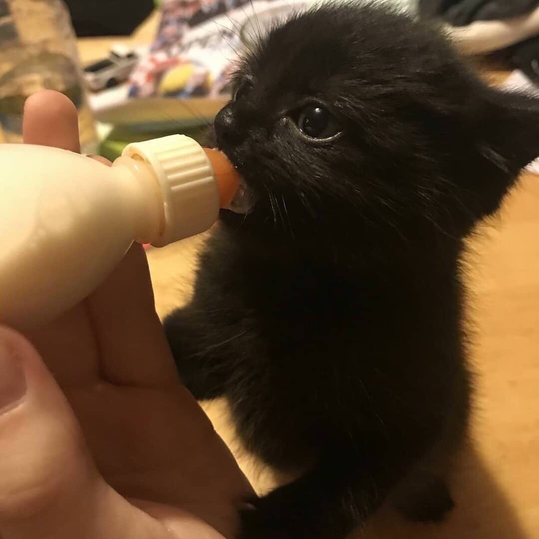 А у нас, обед