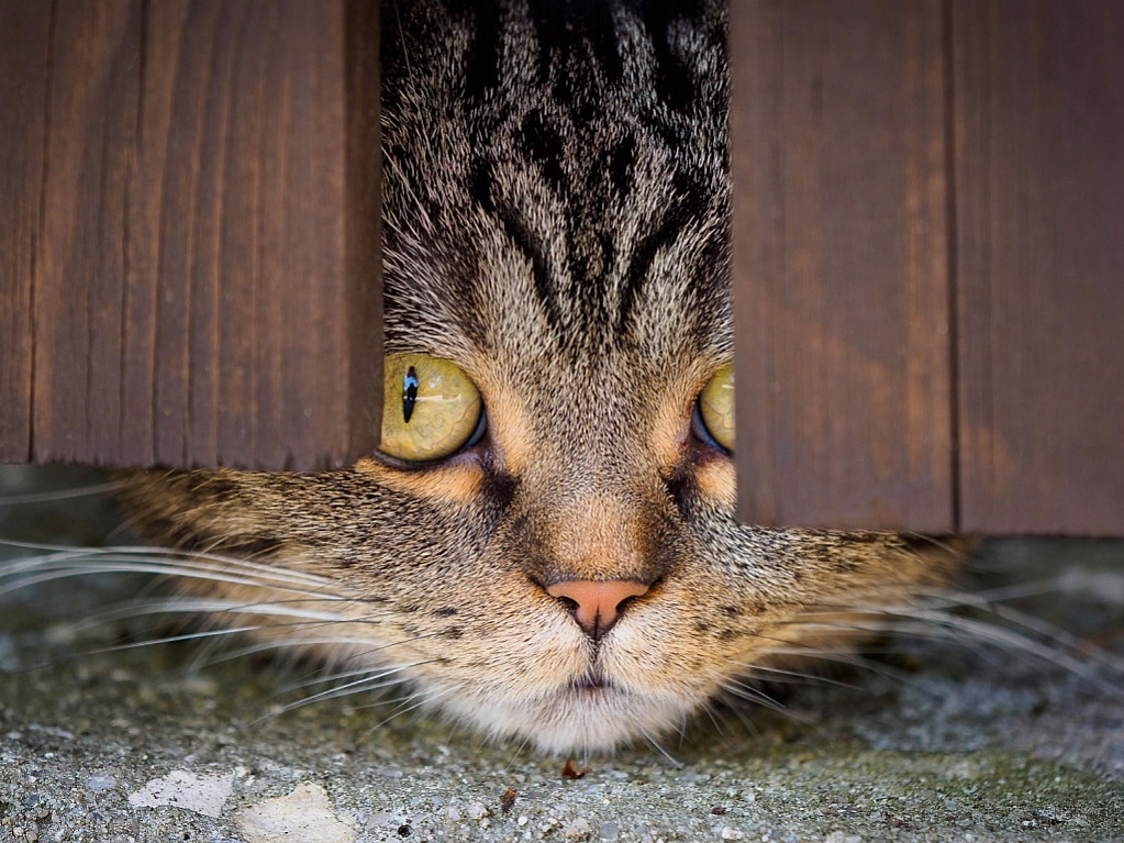Здравствуйте, вы ко мне