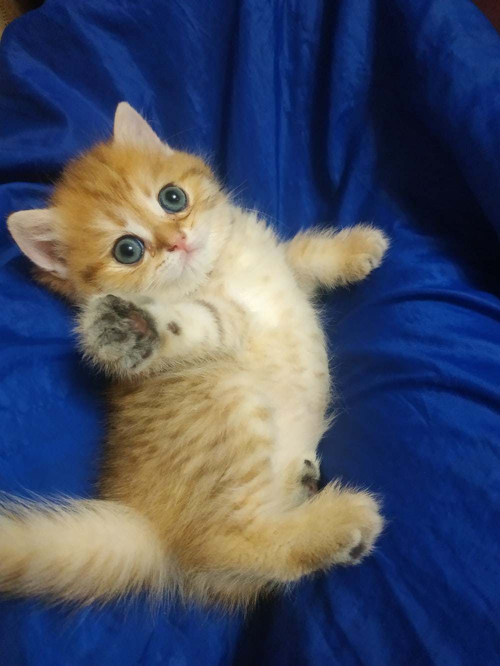 Кто составит мне, компанию