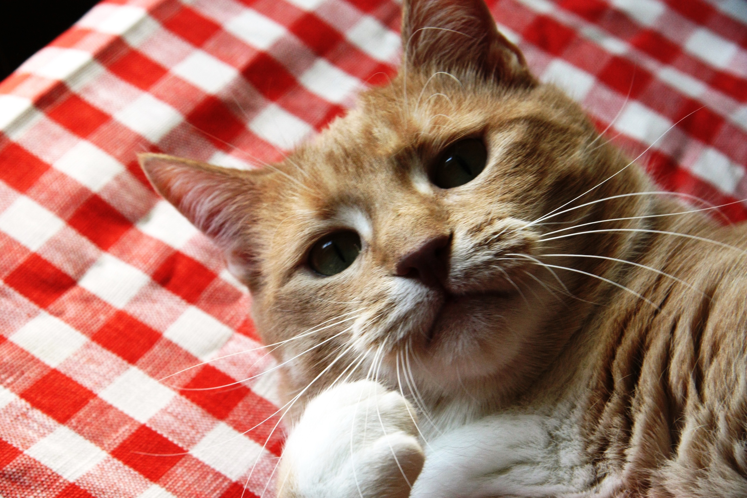 Я проснулся, идите обниматься