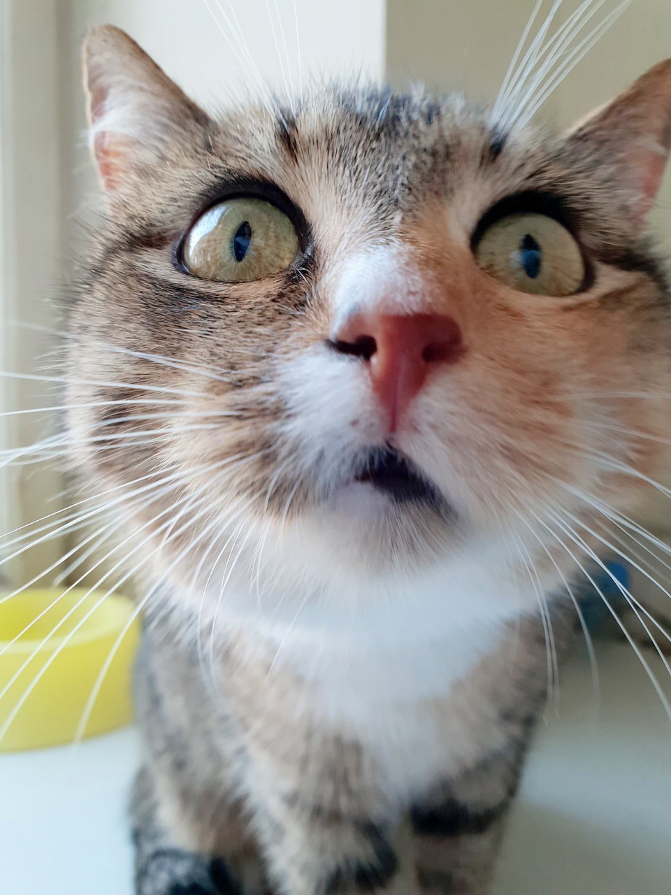 Хочу - всё знать