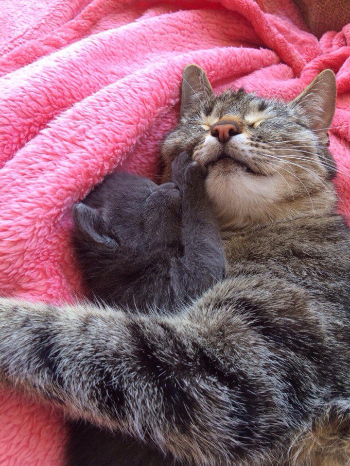 Я за мамочку, держусь