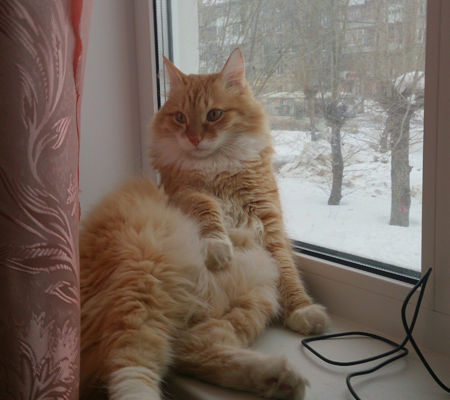 Весны хочется, тепла