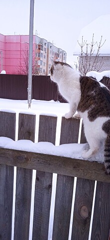 Что - то, март не спешит к нам