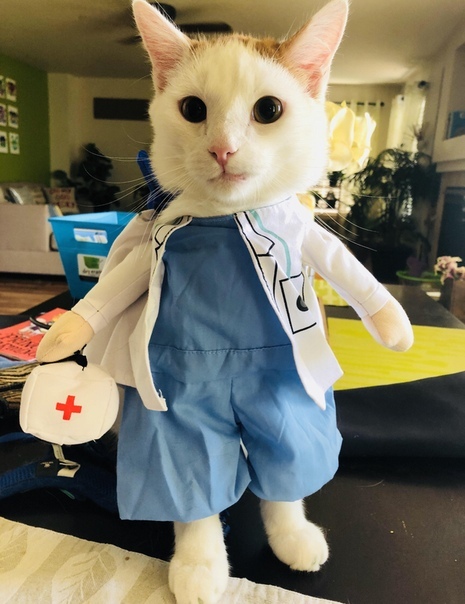 Антистресс вызывали