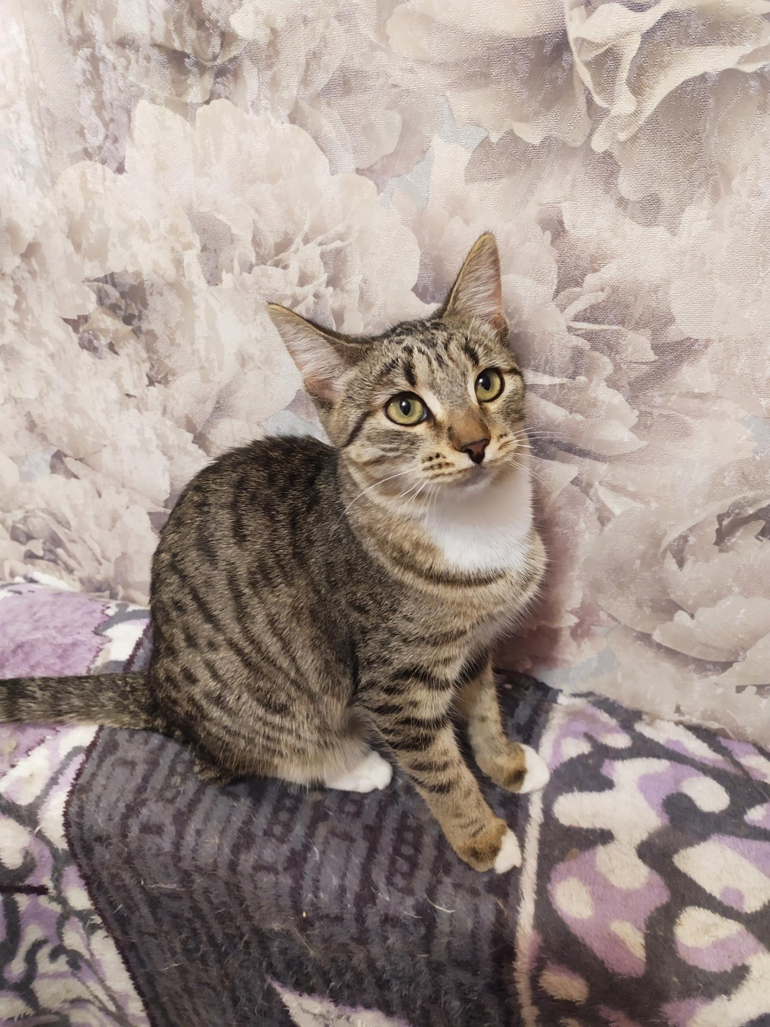 Надоело сидеть на диване, праздника хочу