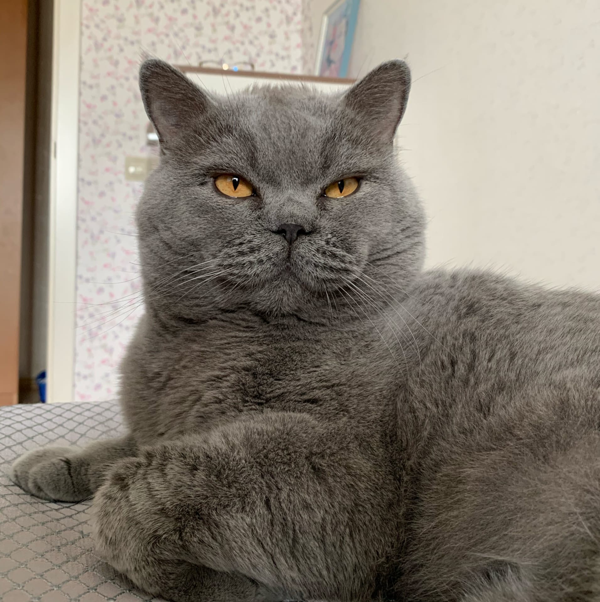 Что там, на счёт завтрака, мне пора подкрепиться