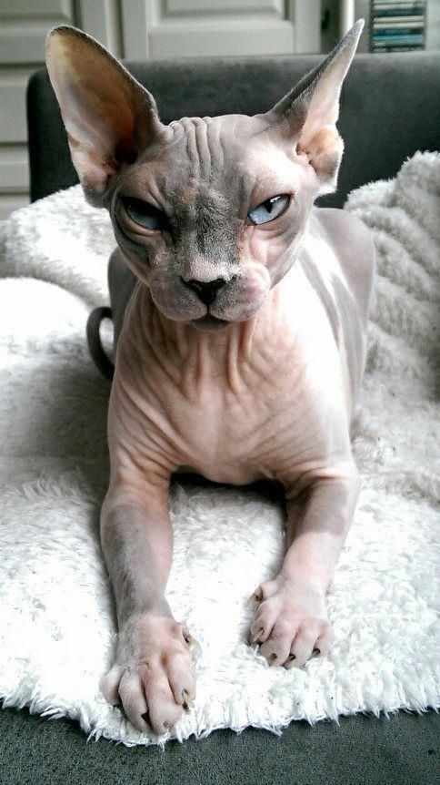 У кого - то утро доброе, а у кого - то угрюмое