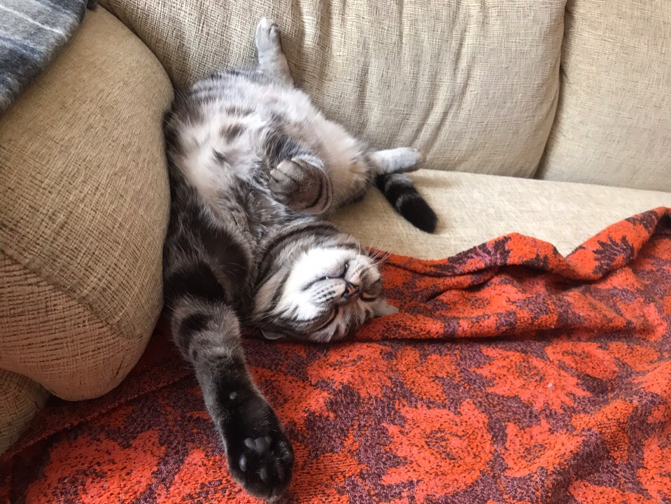 Не будите вы меня, не будите