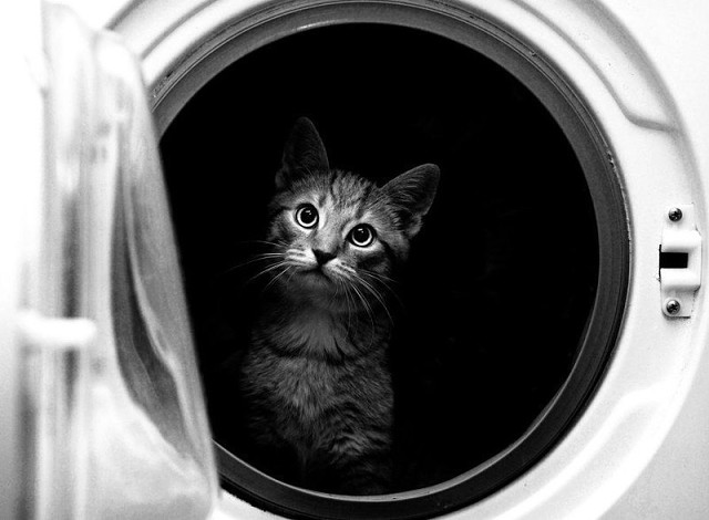 Я сдал экзамен - в космонавты