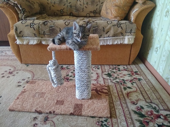 Скучно одному, когда все спят