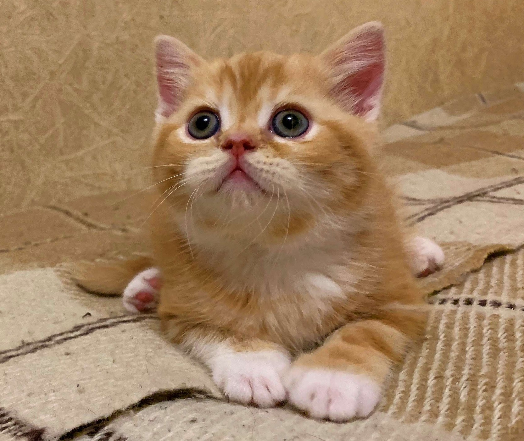 Кто - нибудь, меня уложит спать