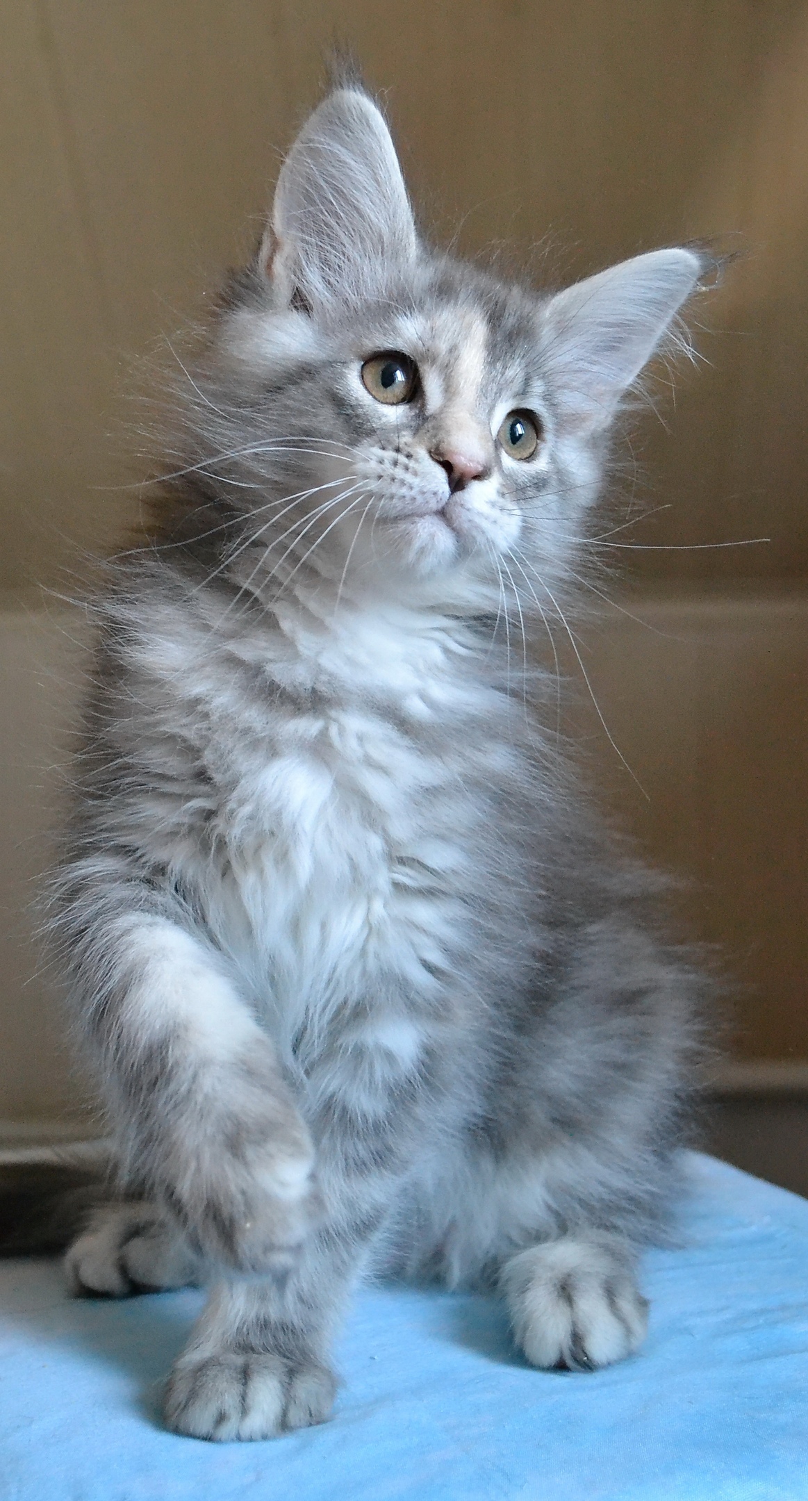 Всем подъём, кушать пора