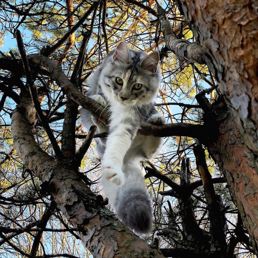 Лезь сюда, тут совсем не страшно