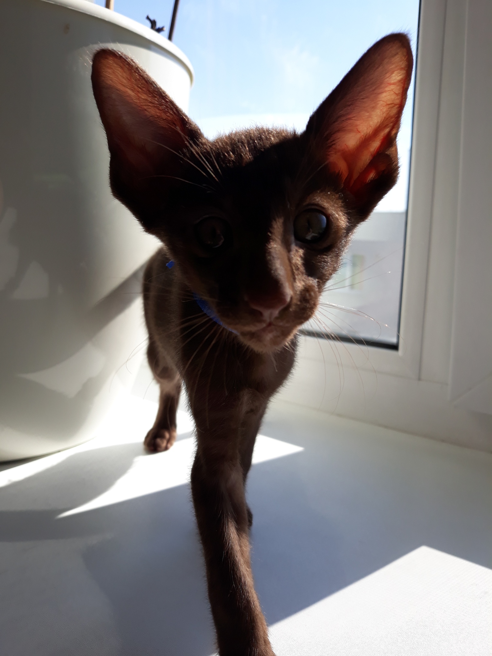 За окном отличная погода, я проверил