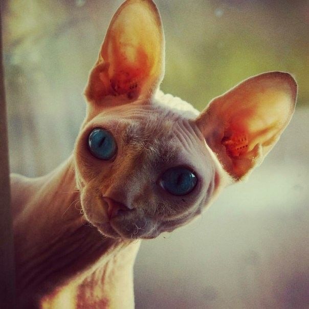 Я не слишком рано,заглянула