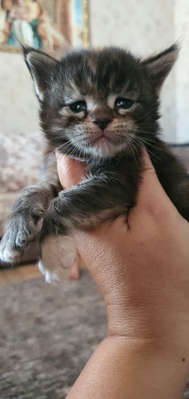 Прижмите меня и не отпускайте