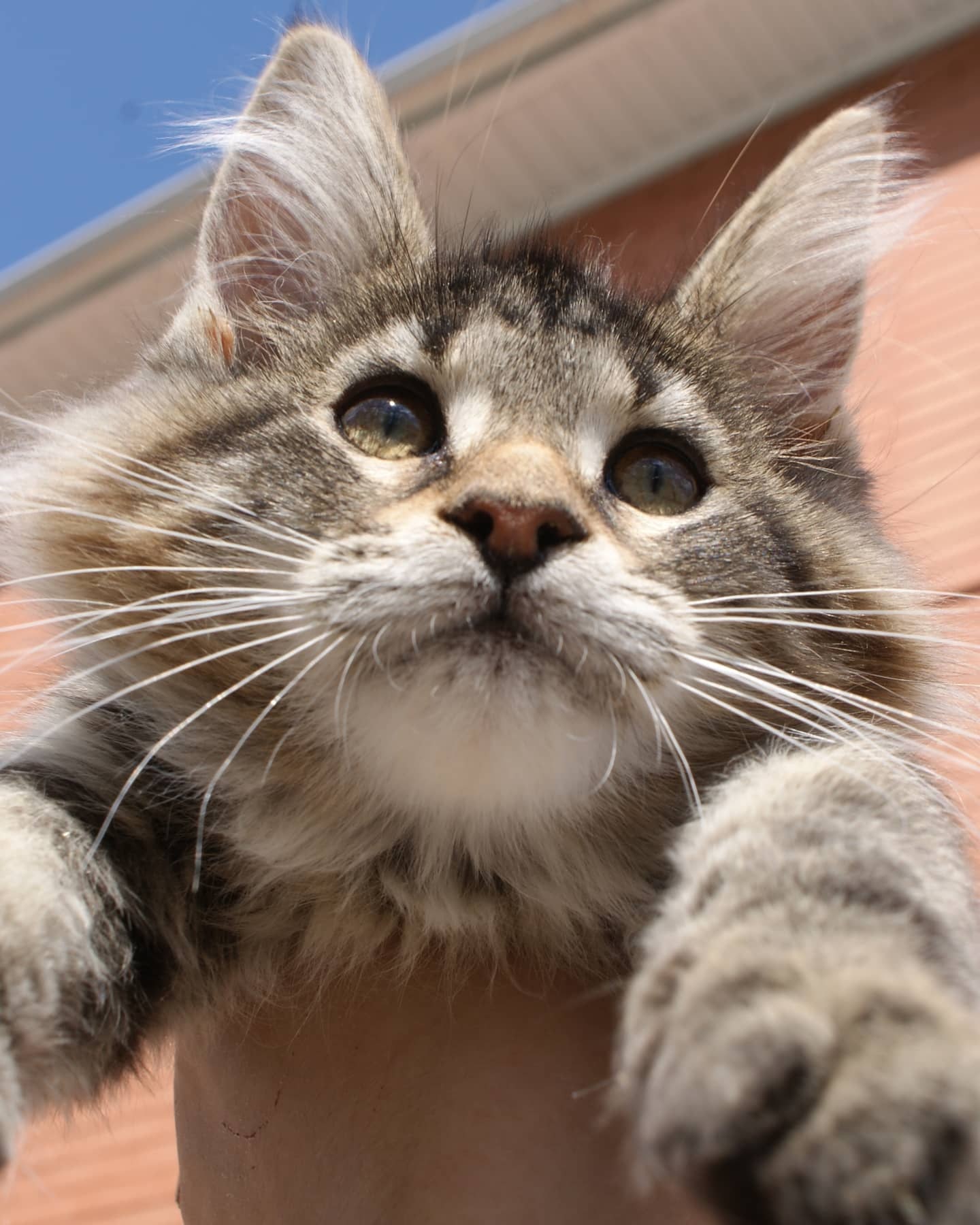 Утро начинается - с осмотра своих владений