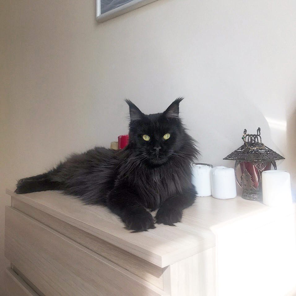 Когда порядок в доме, я спокоен