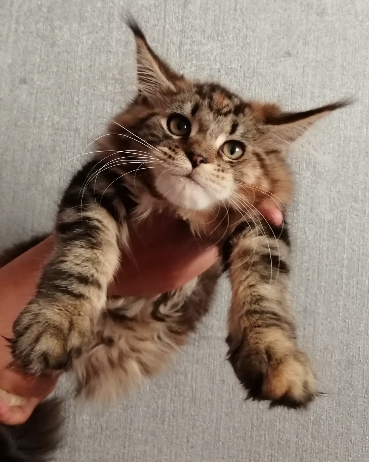 Положите меня в постельку, я не выспался