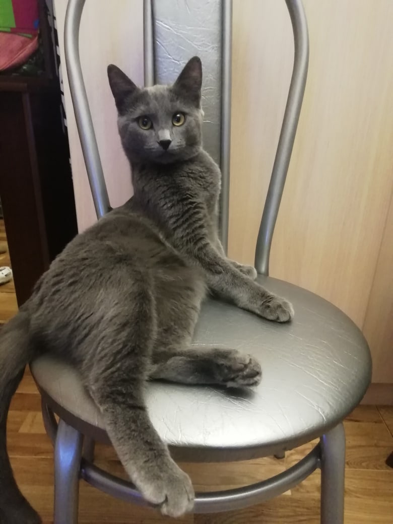 Я первая стул заняла, ищите другой