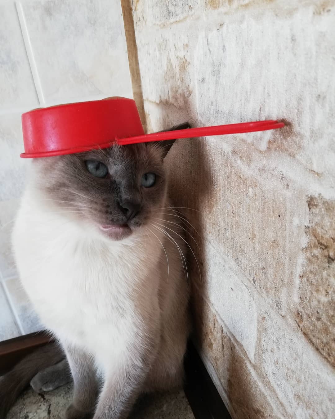 В этом году, ни капельки не вырос