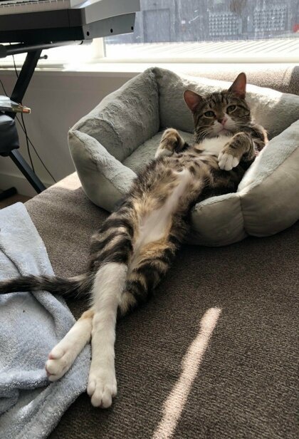 Мне - очень удобно