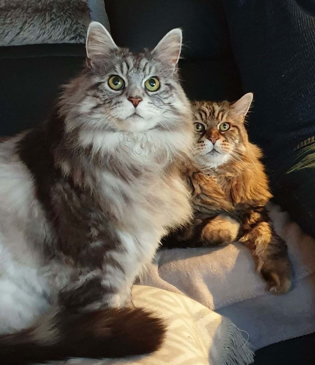 Выйдите и без стука не входите