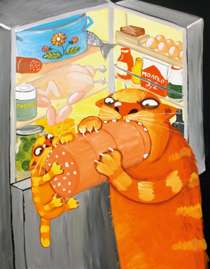 Кошки делят колбасу