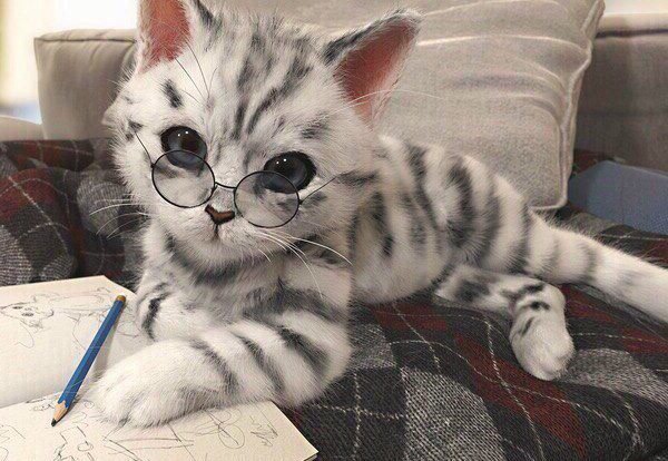 Котик рисует