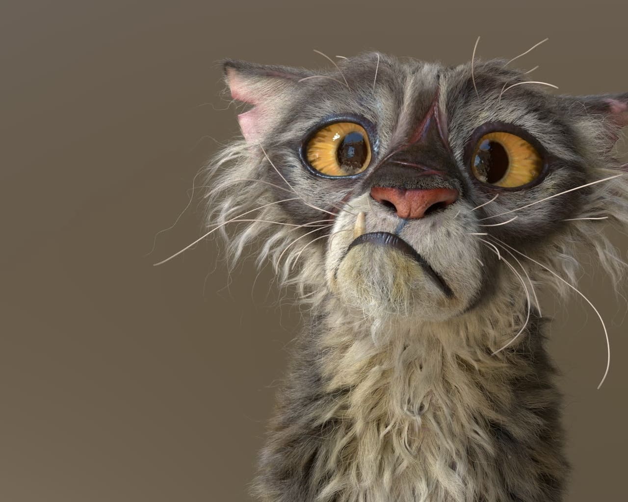 Забавный старый кот