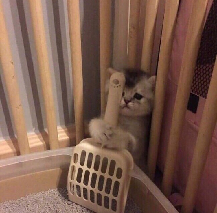 Котёнок и совок