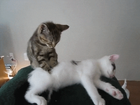 Давай братишка помну бока