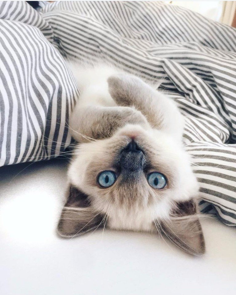 Утра всем, наимилейшего