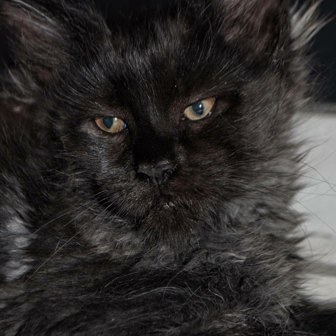 Что, опять на работу собрались