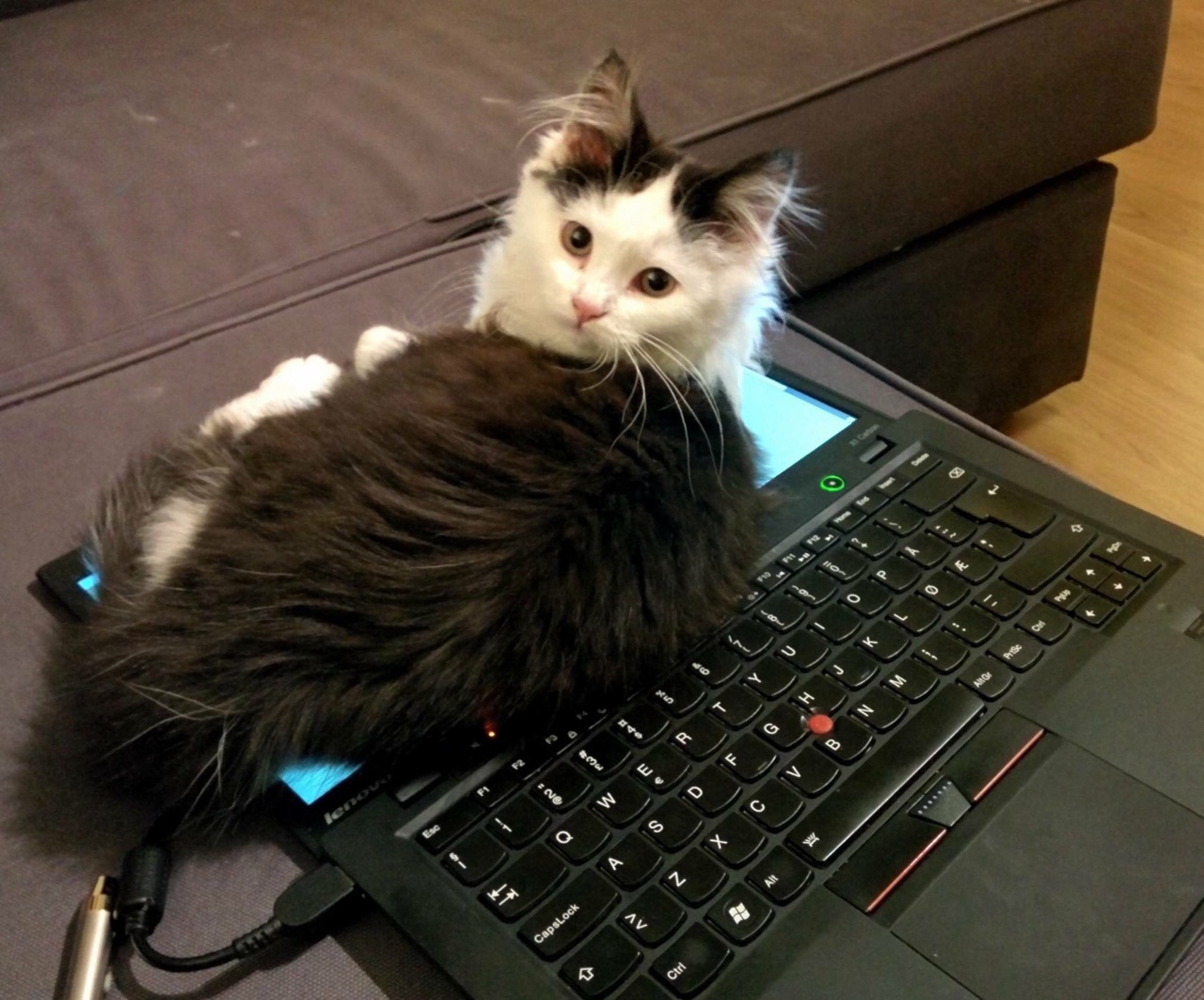 Много работать - вредно