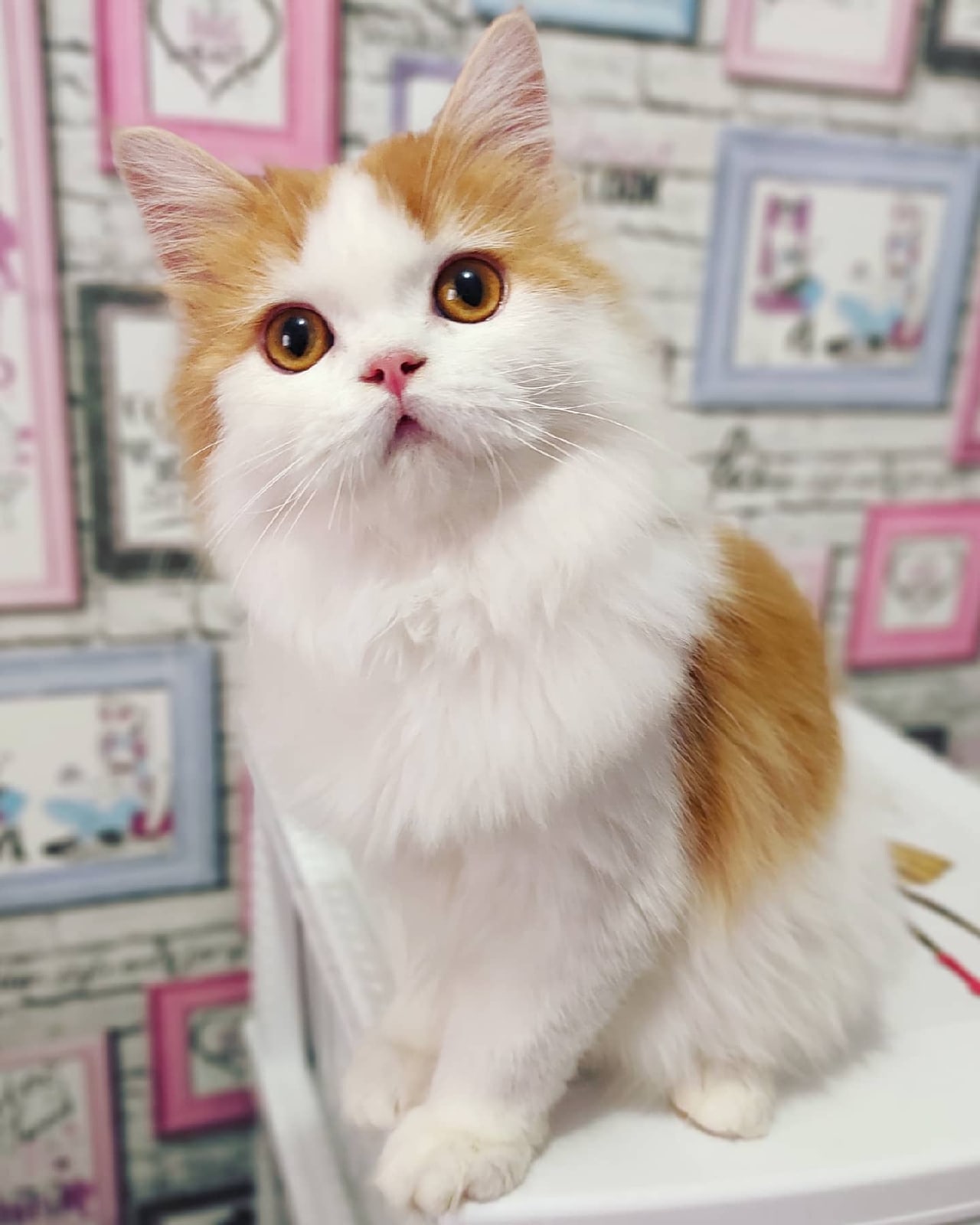 Куда - то собрались и я с вами