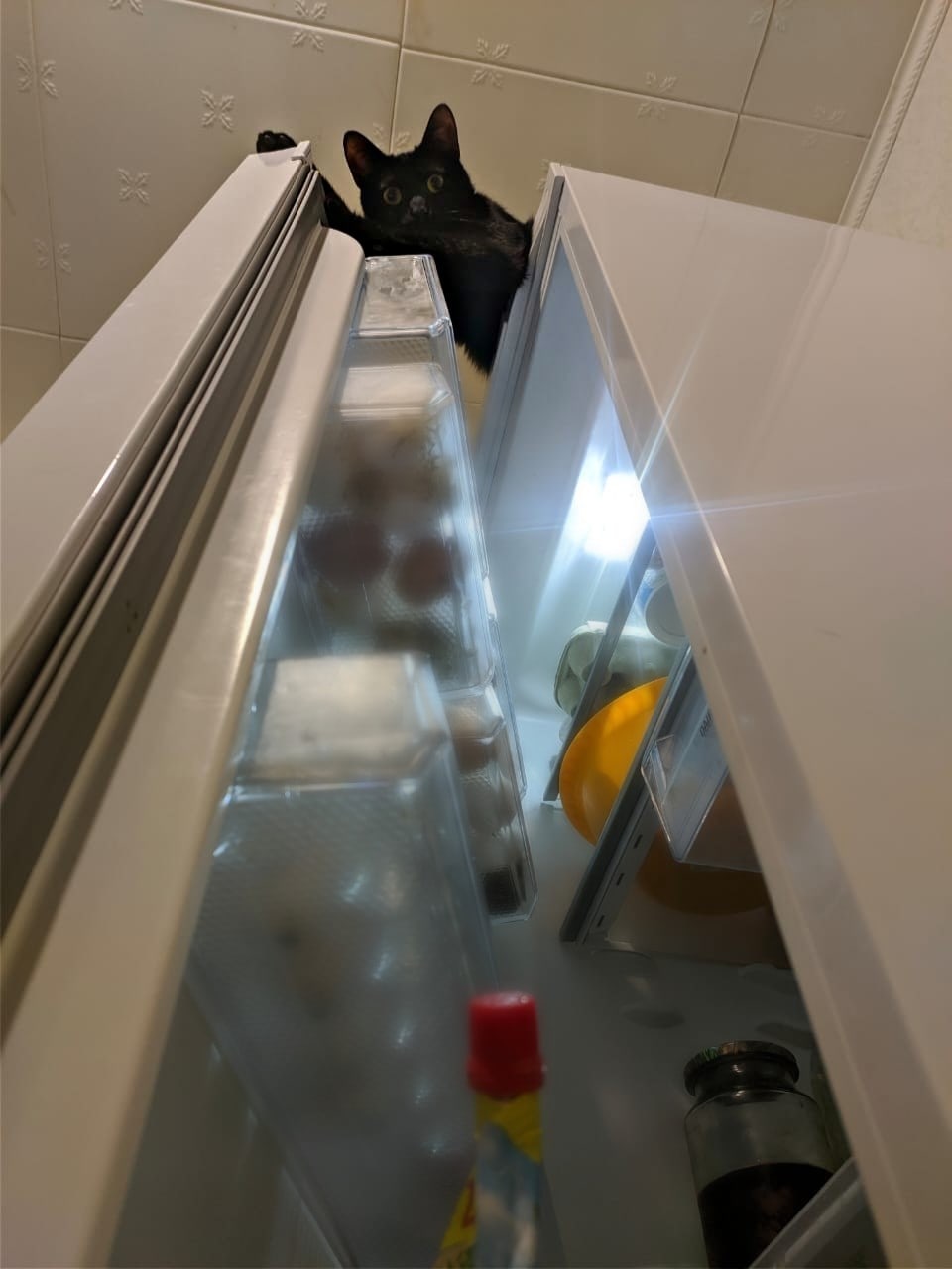 Сейчас посмотрим, чем я буду завтракать