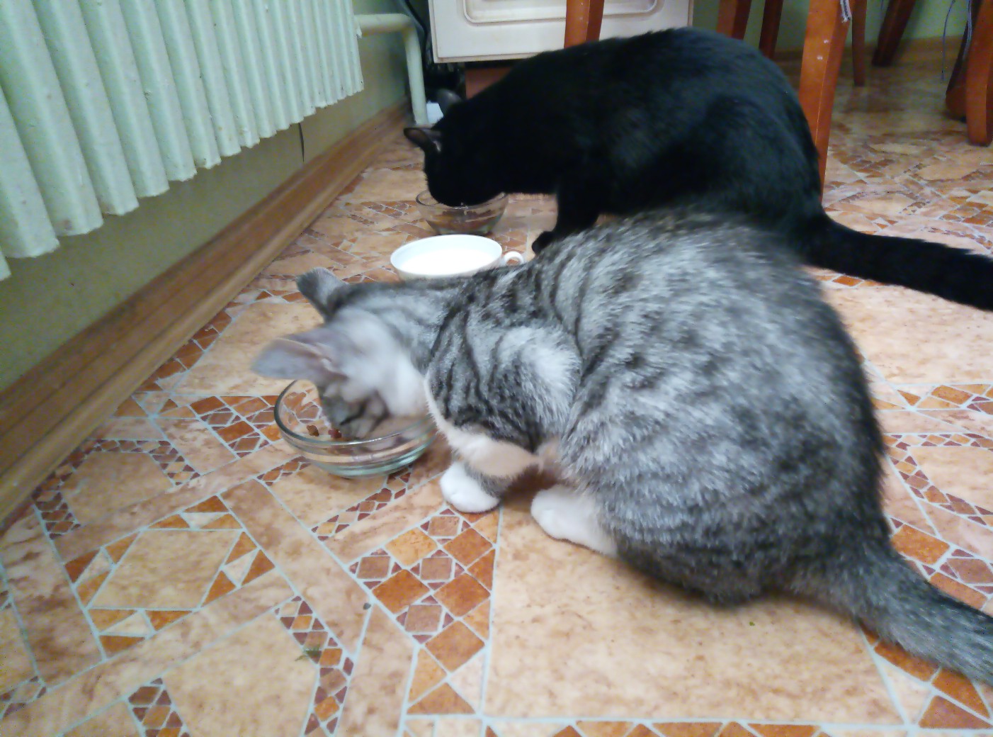 Лёгкий перекус