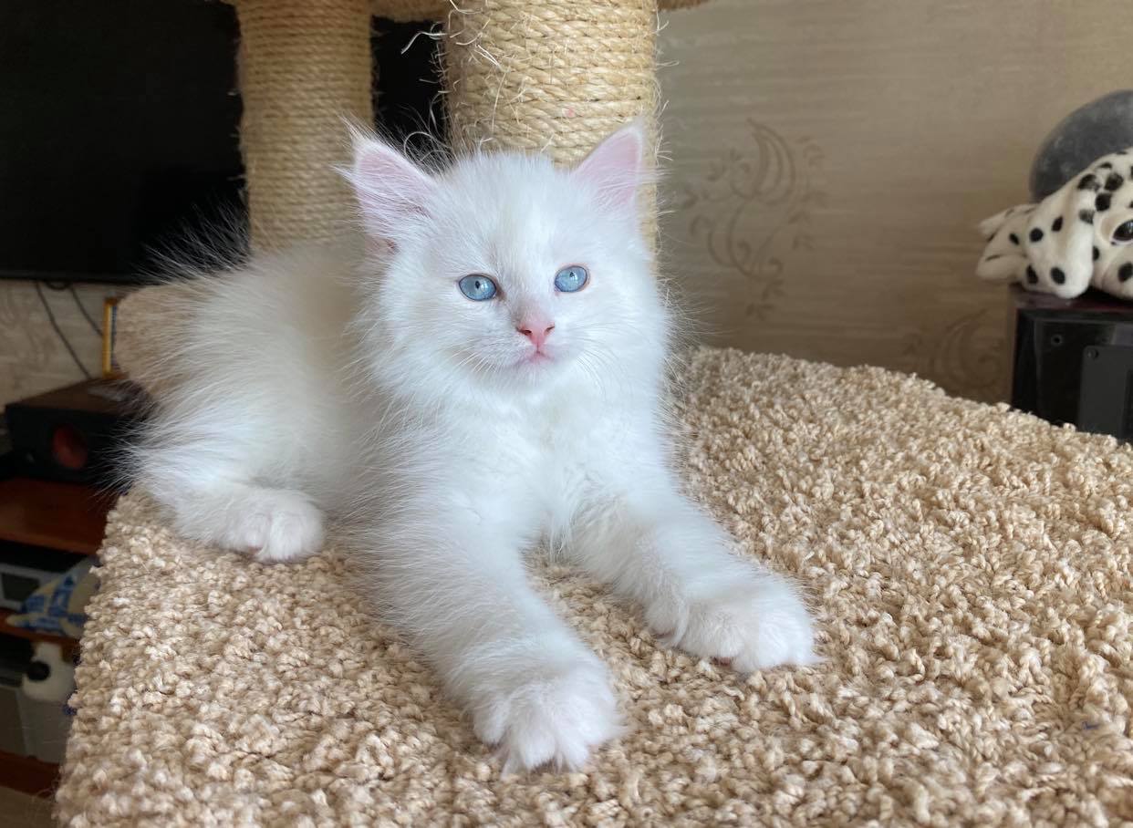 Сейчас отдохну и опять играть пойду