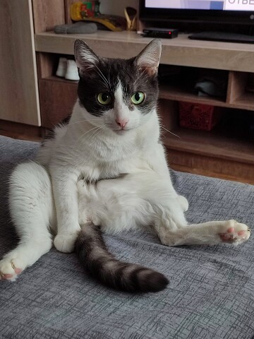 Вы меня смутили, забыл, что делал