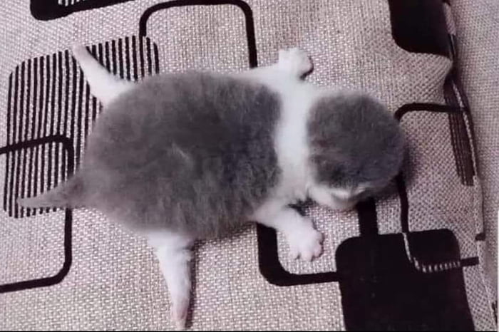 Проснулся, упал, уснул