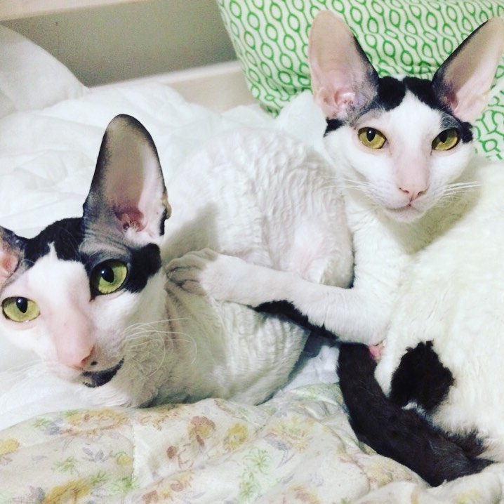 Мы две половинки - одного целого