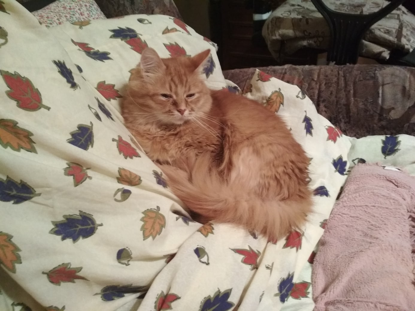 Вставать не хочется, может ещё поспать