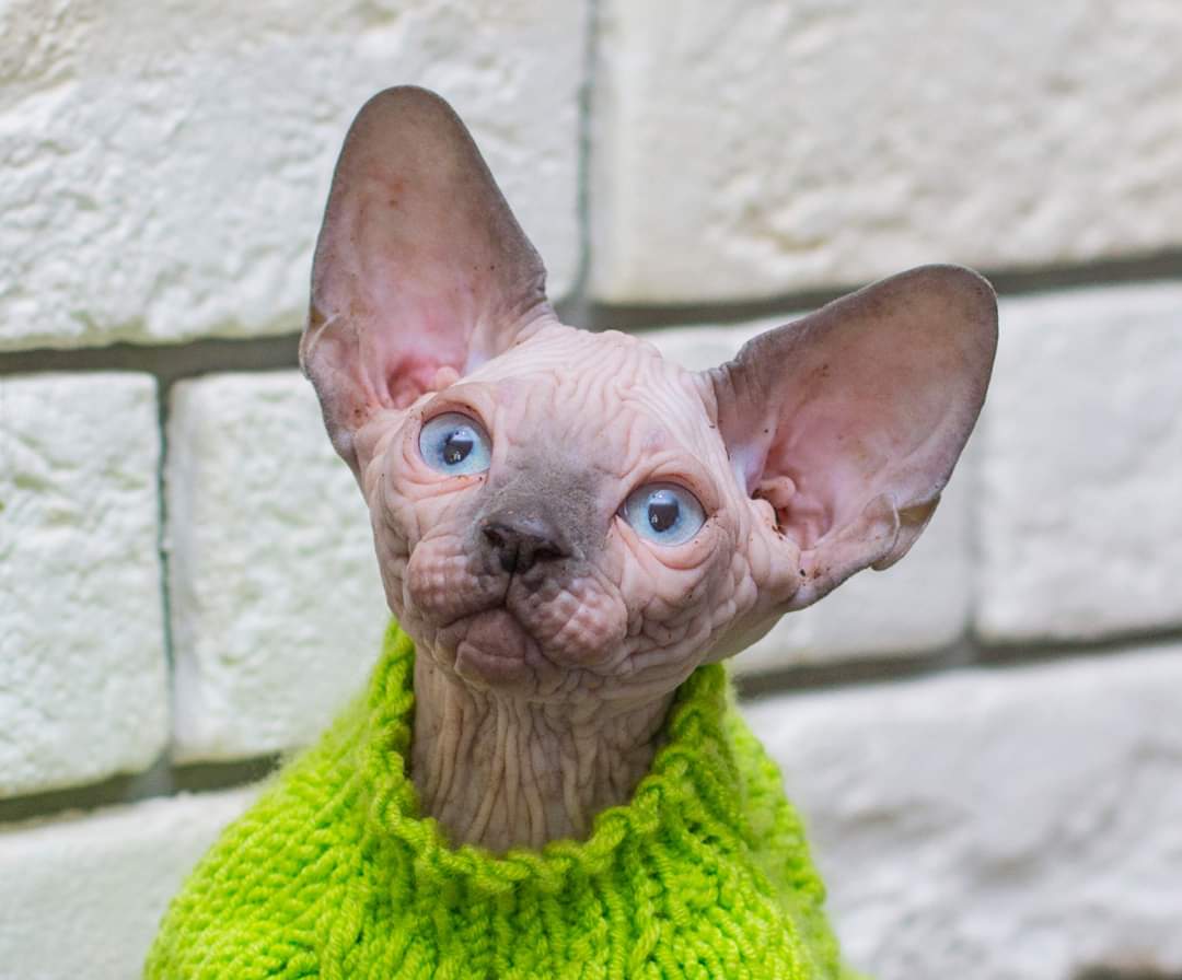 Прогноз погоды читали, когда там тепло будет